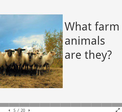 farm animal presentation