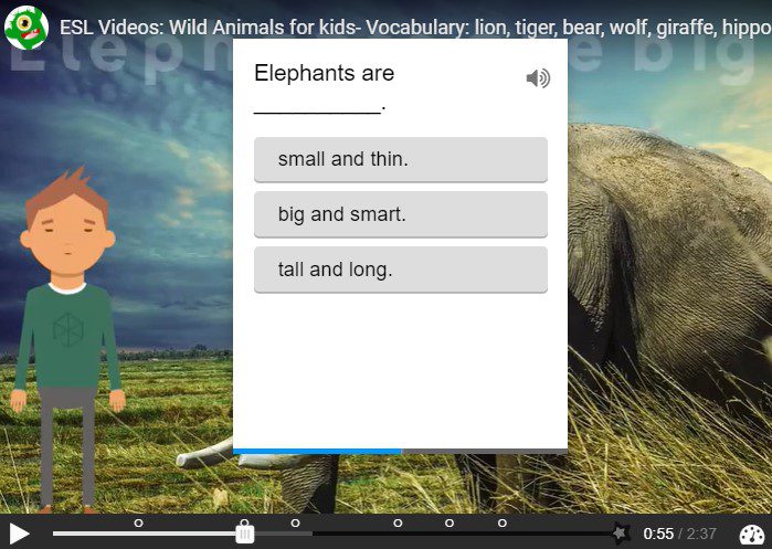 Wild Animal Interactive Video | English Learning in Thailand. ESL fun