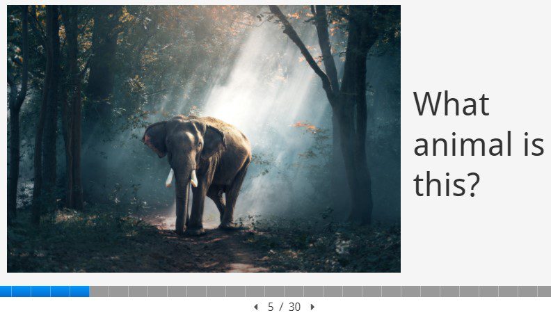 wild animal presentation slideshow
