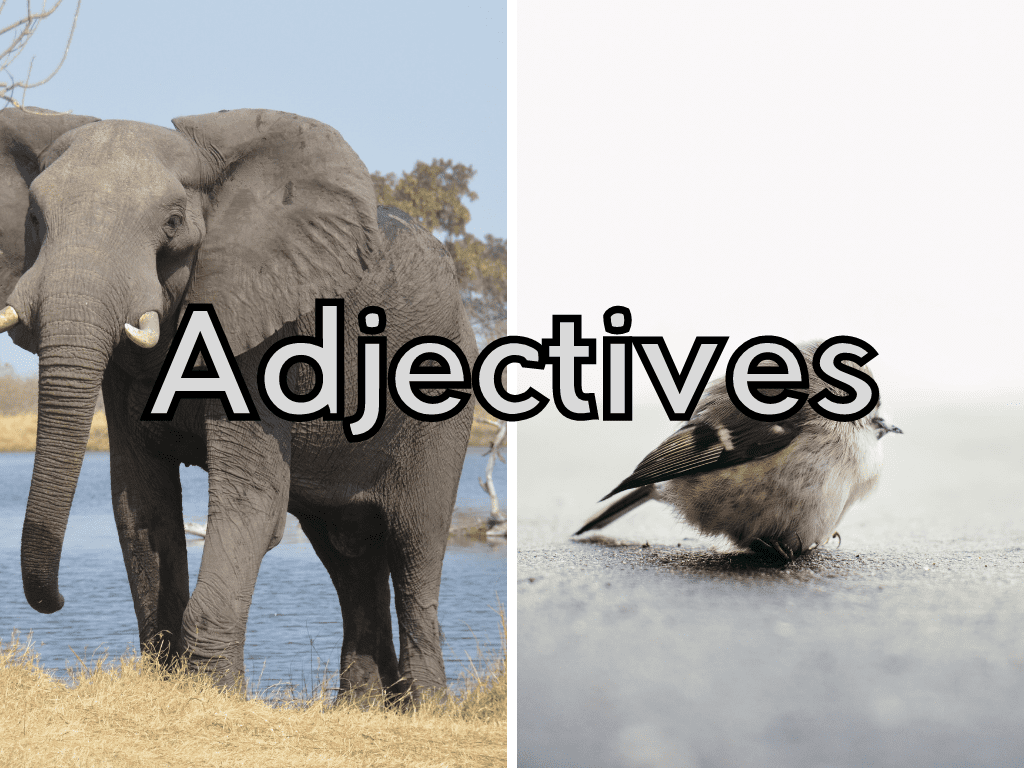 adjective, comparative and superlative