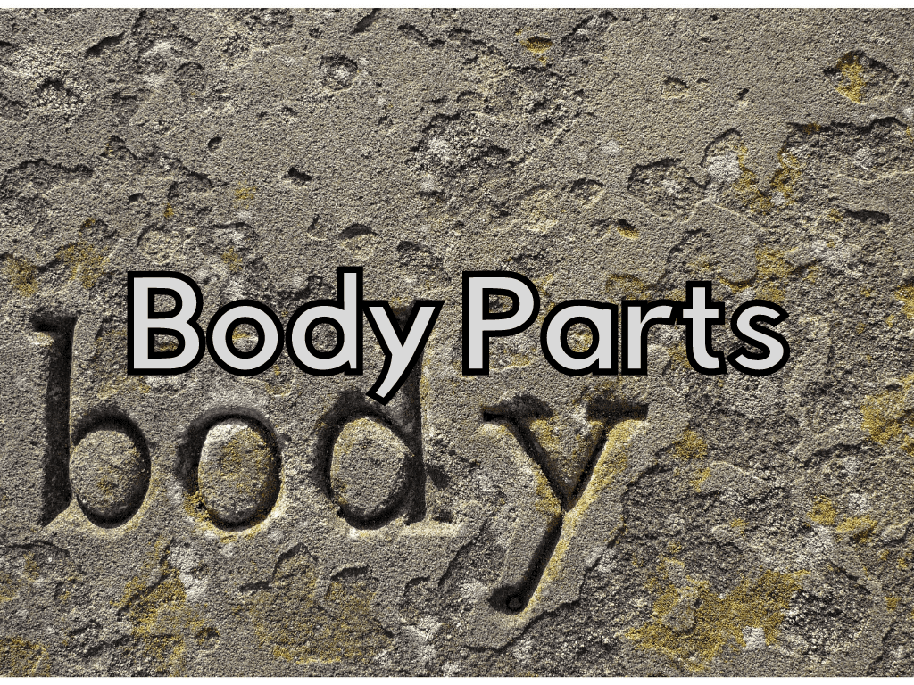 body parts ESL games
