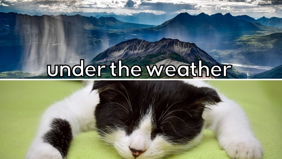 idioms for ESL students - under the weather
