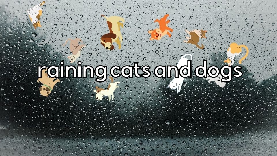 IDIOMS - raining cats and dogs