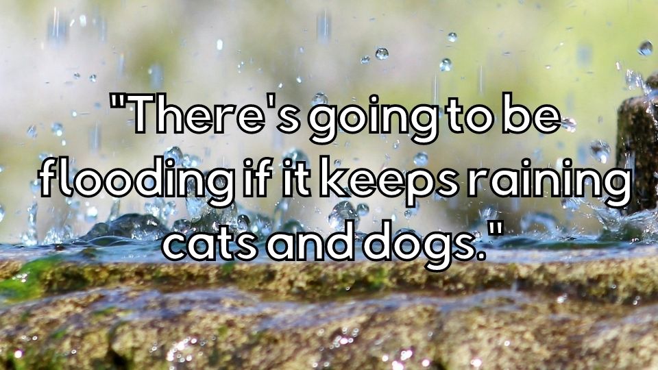 IDIOMS - raining cats and dogs